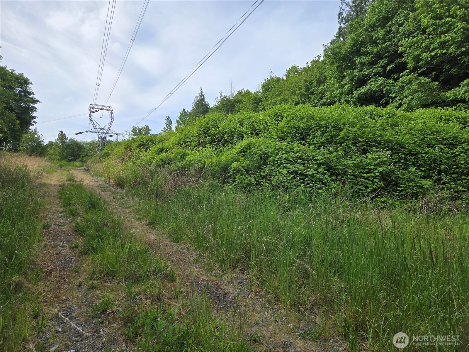 0 NHN D Street , Blaine, WA 98230