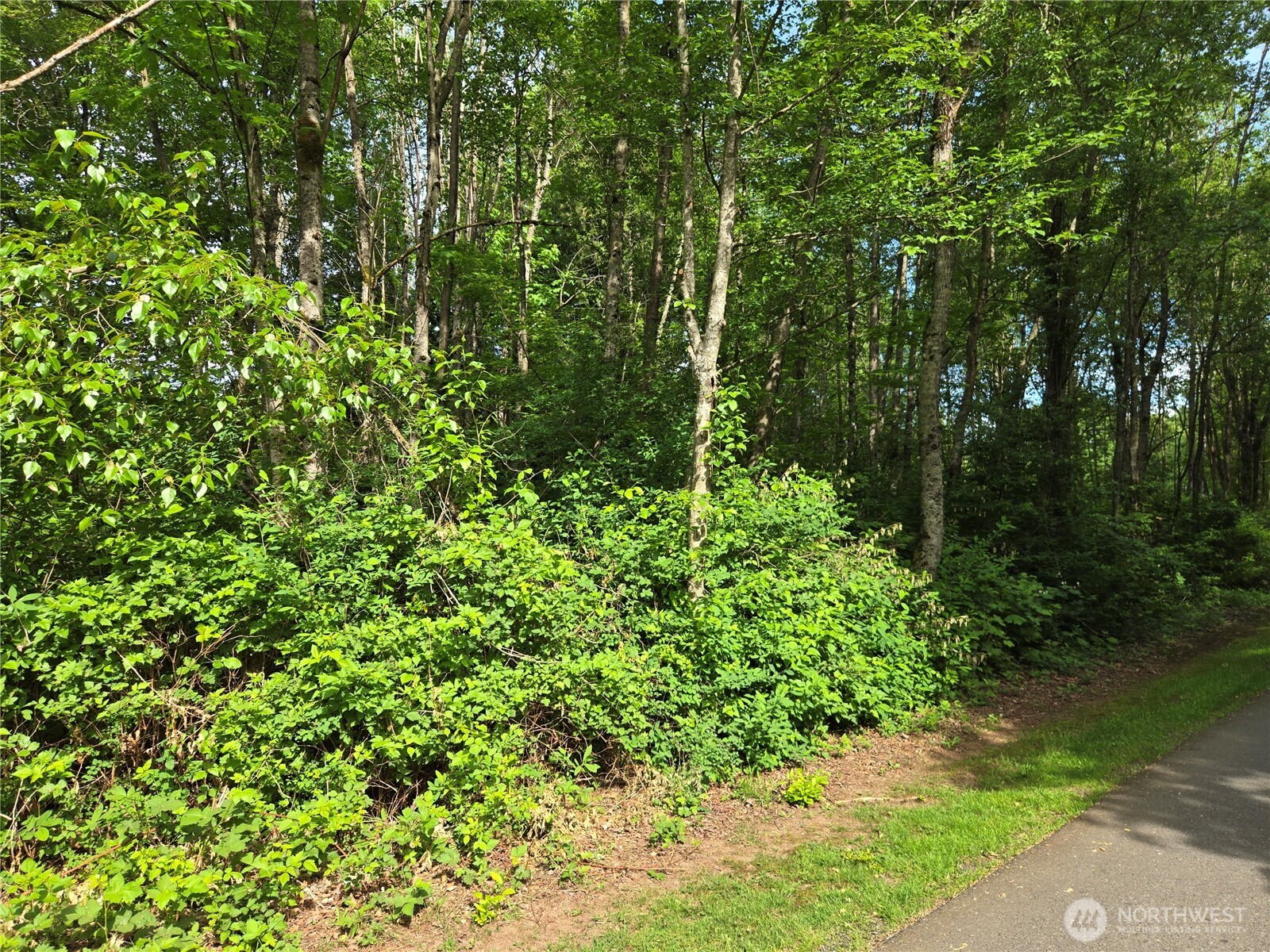 0 NHN D Street , Blaine, WA 98230