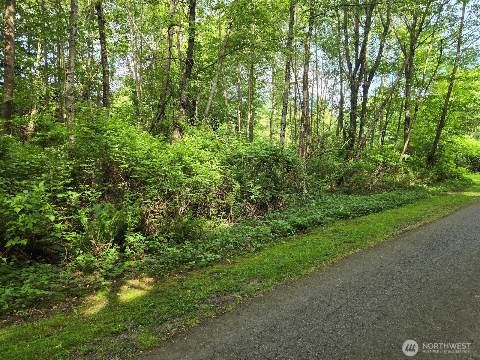 0 NHN D Street , Blaine, WA 98230
