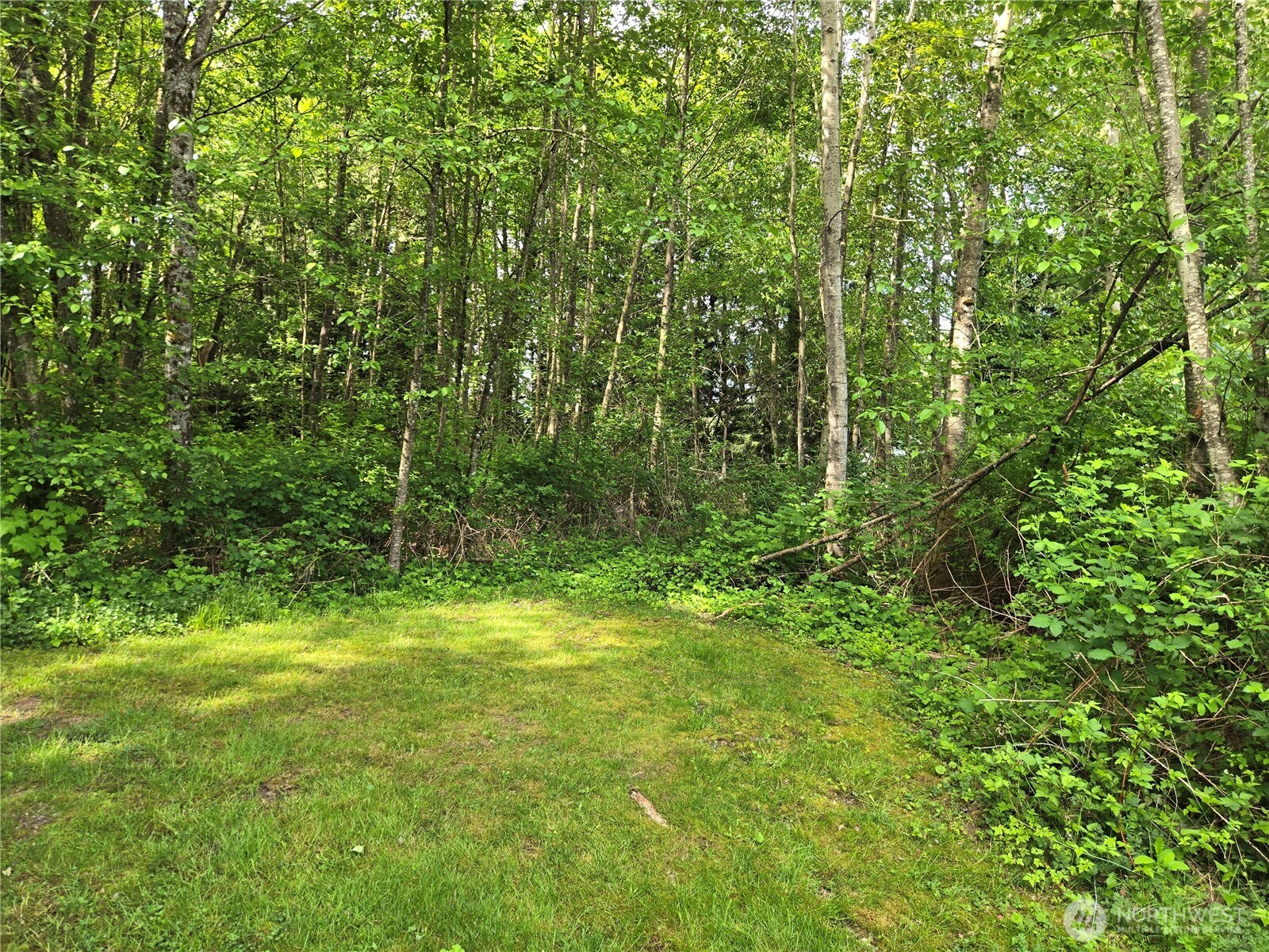 0 NHN D Street , Blaine, WA 98230