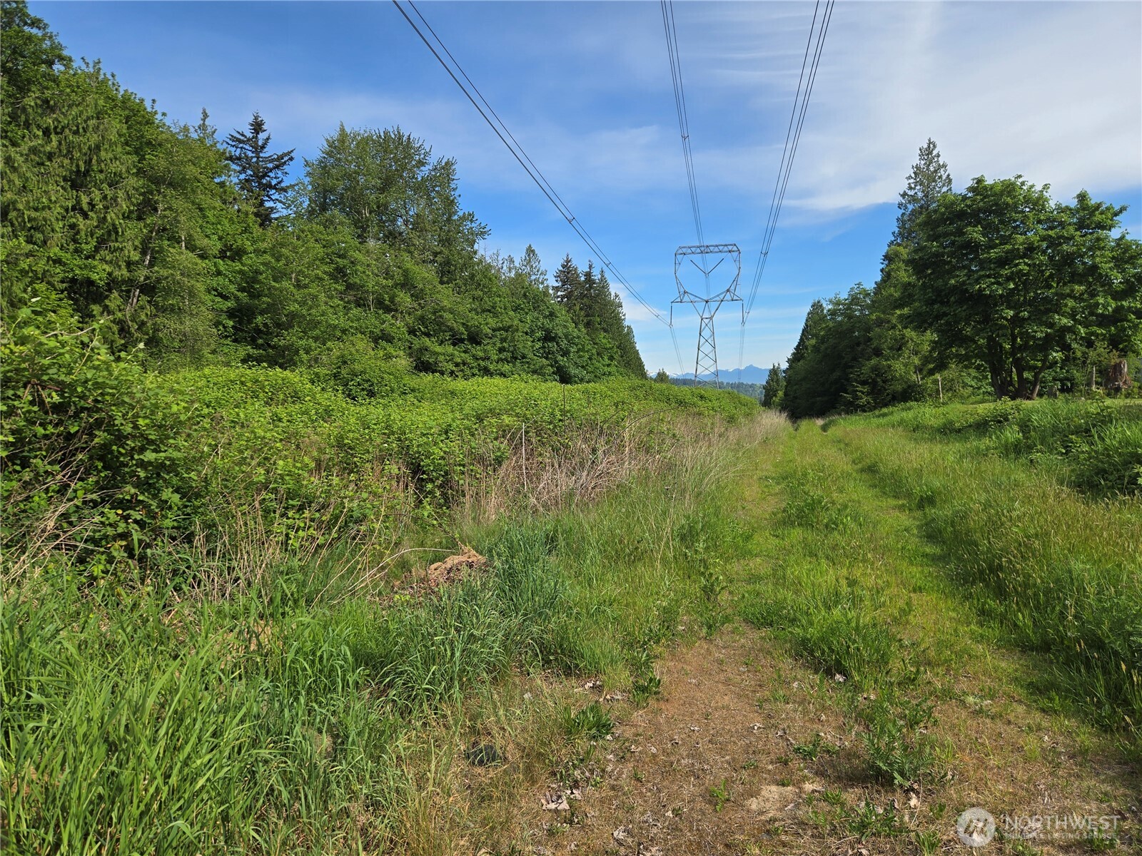 0 NHN D Street , Blaine, WA 98230