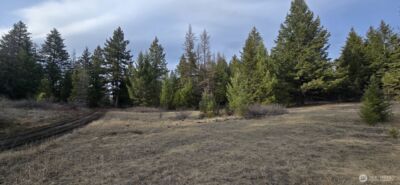 99 Prior Loop Road , Oroville, WA 98844