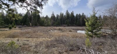 99 Prior Loop Road , Oroville, WA 98844 - Photo 11