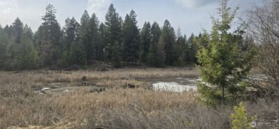 99 Prior Loop Road , Oroville, WA 98844 - Photo 12