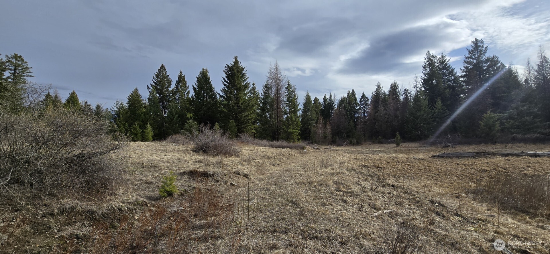 99 Prior Loop Road , Oroville, WA 98844