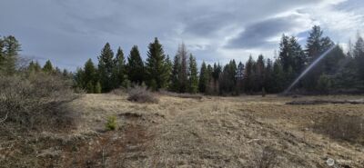 99 Prior Loop Road , Oroville, WA 98844 - Photo 15