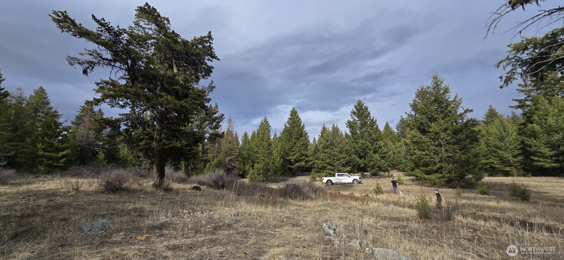 99 Prior Loop Road , Oroville, WA 98844