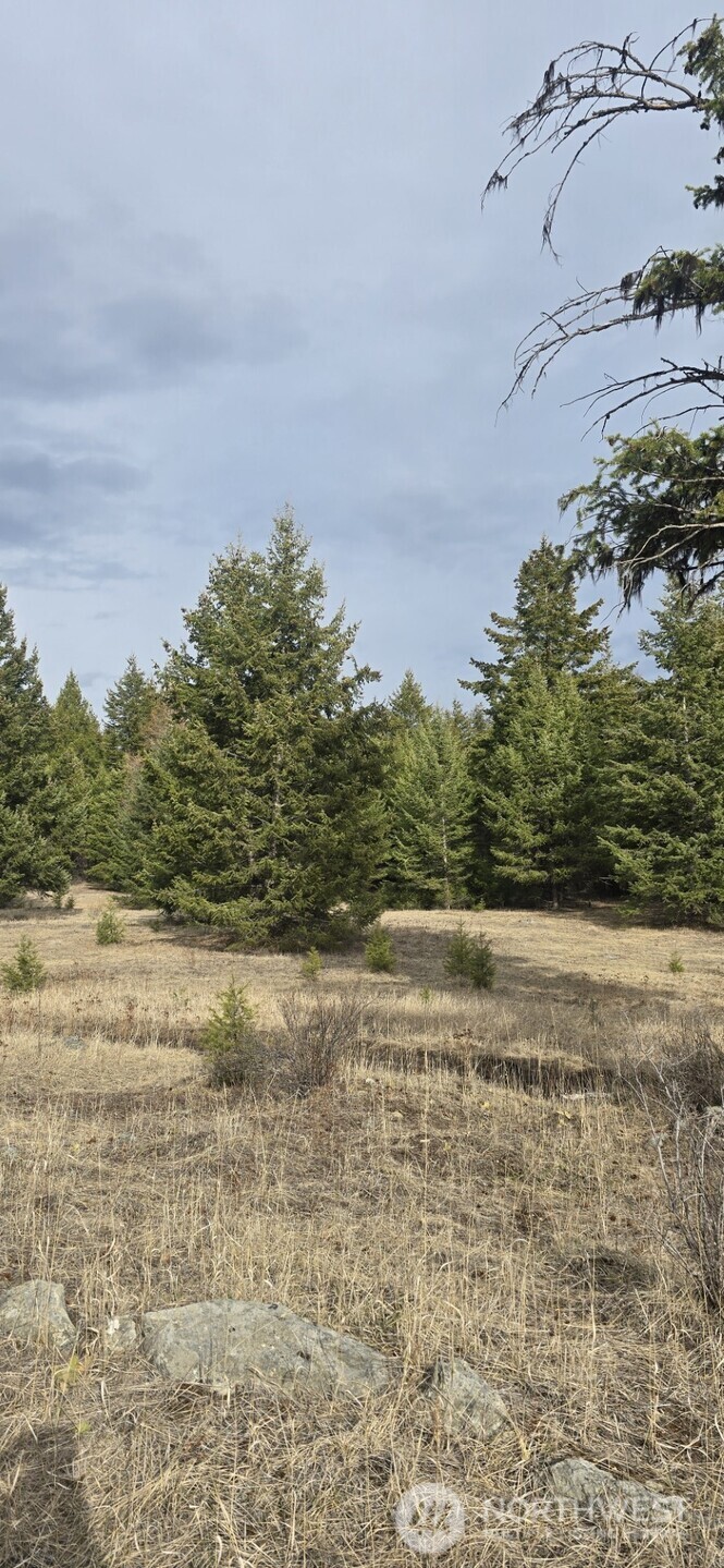 99 Prior Loop Road , Oroville, WA 98844