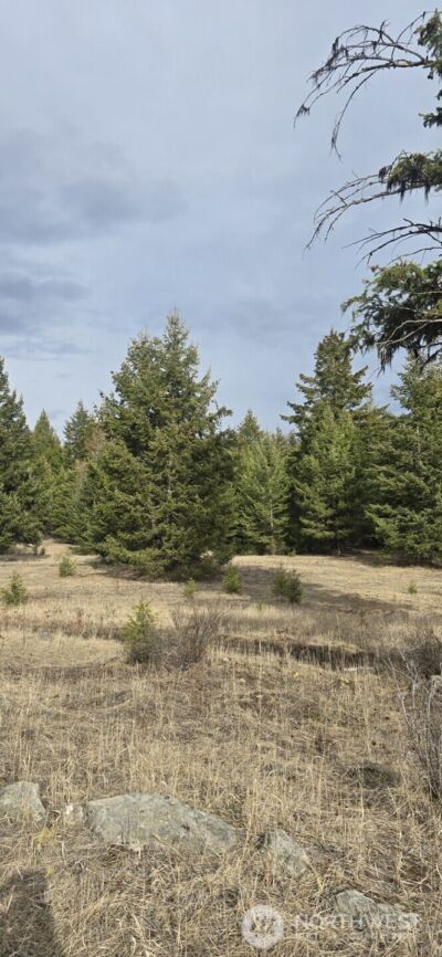 99 Prior Loop Road , Oroville, WA 98844 - Photo 19