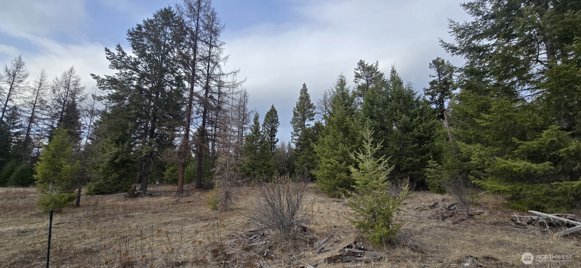 99 Prior Loop Road , Oroville, WA 98844