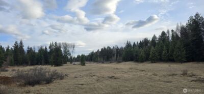 99 Prior Loop Road , Oroville, WA 98844 - Photo 5