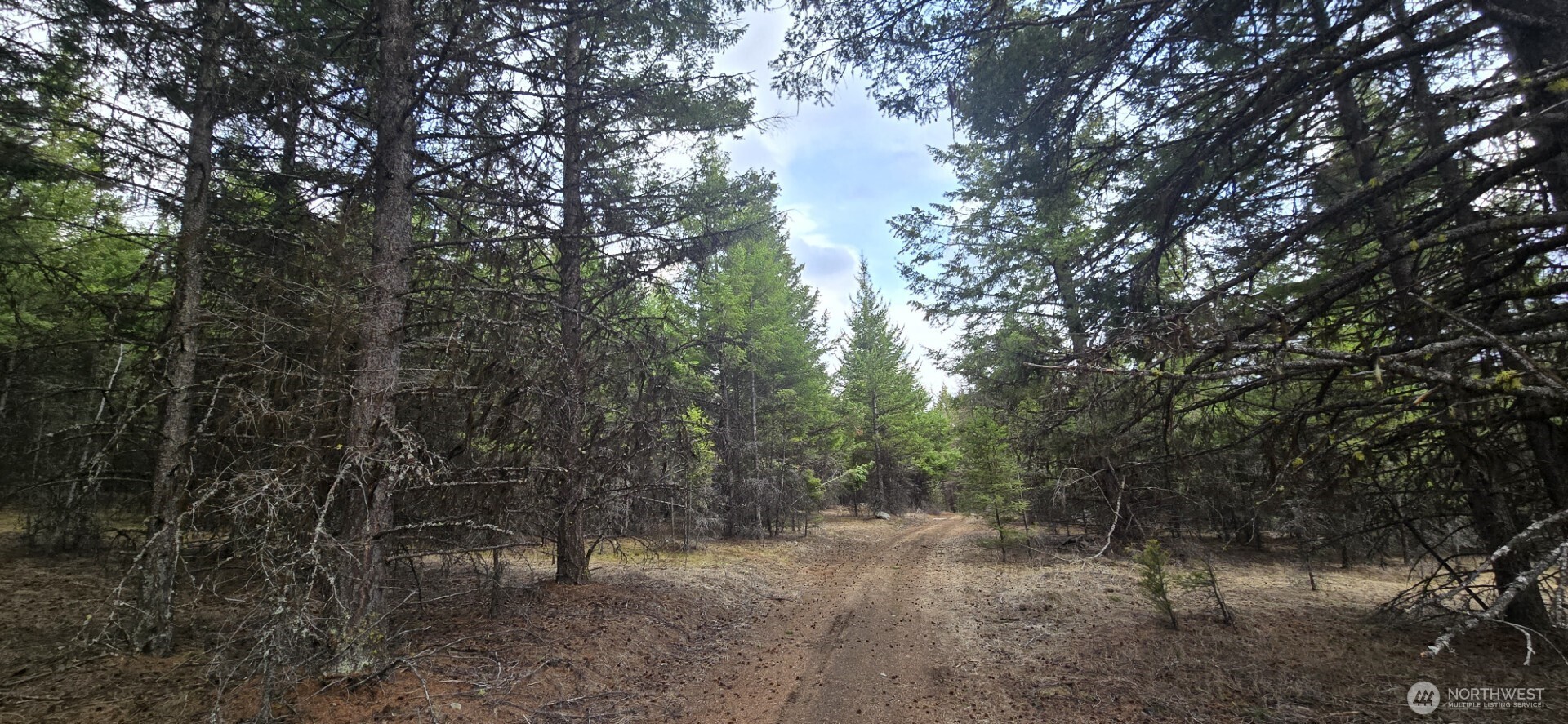 99 Prior Loop Road , Oroville, WA 98844