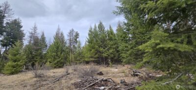 99 Prior Loop Road , Oroville, WA 98844 - Photo 8