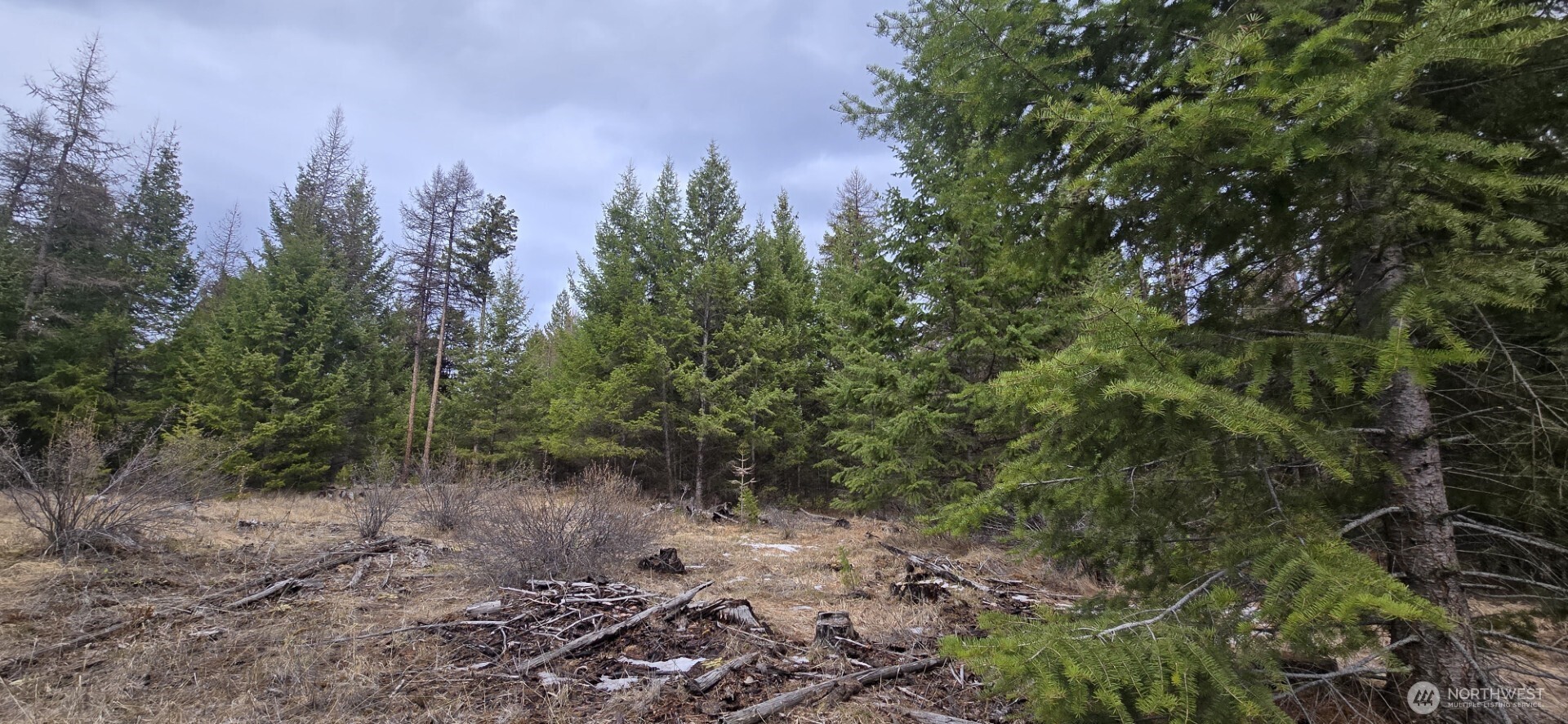 99 Prior Loop Road , Oroville, WA 98844