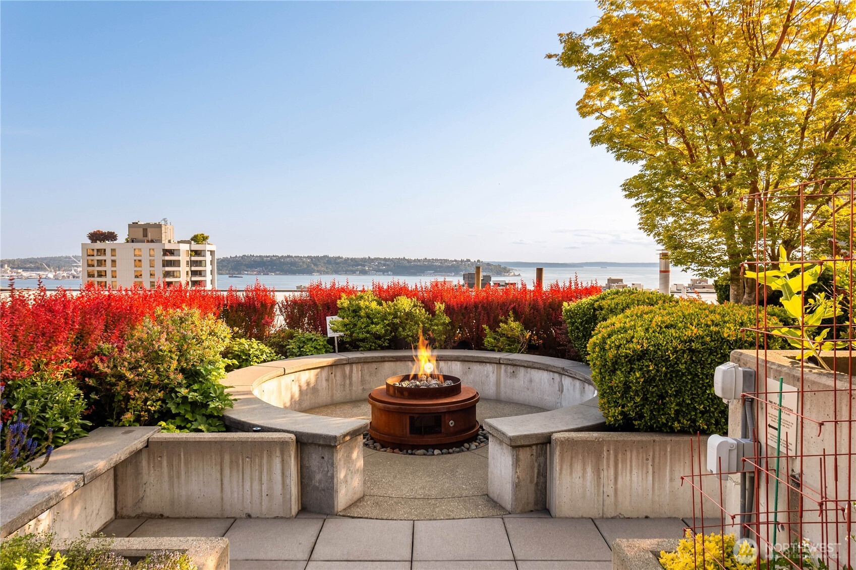 2720 3rd Avenue #707, Seattle, WA 98121