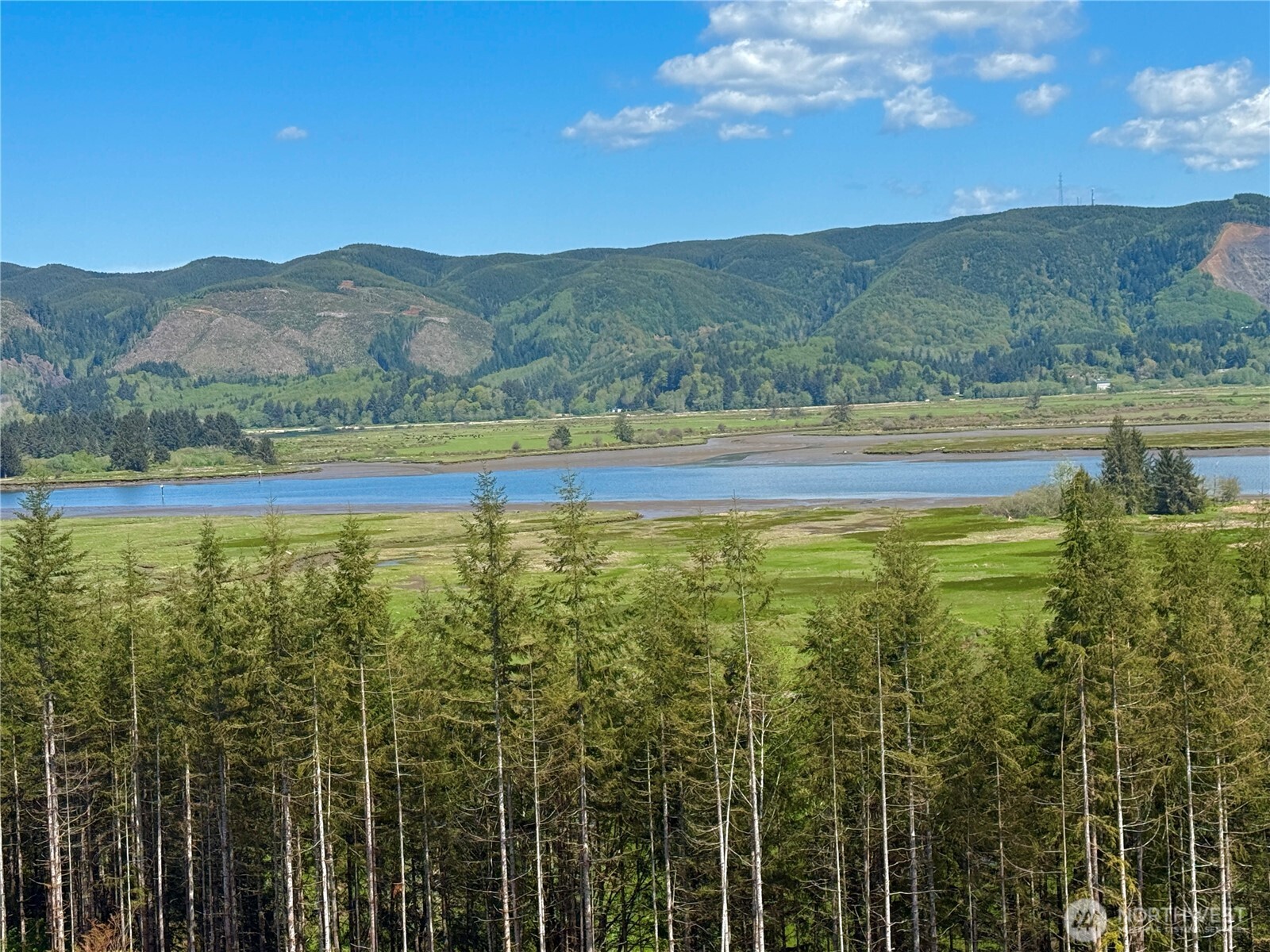 8466 Us Highway 101 , South Bend, WA 98586
