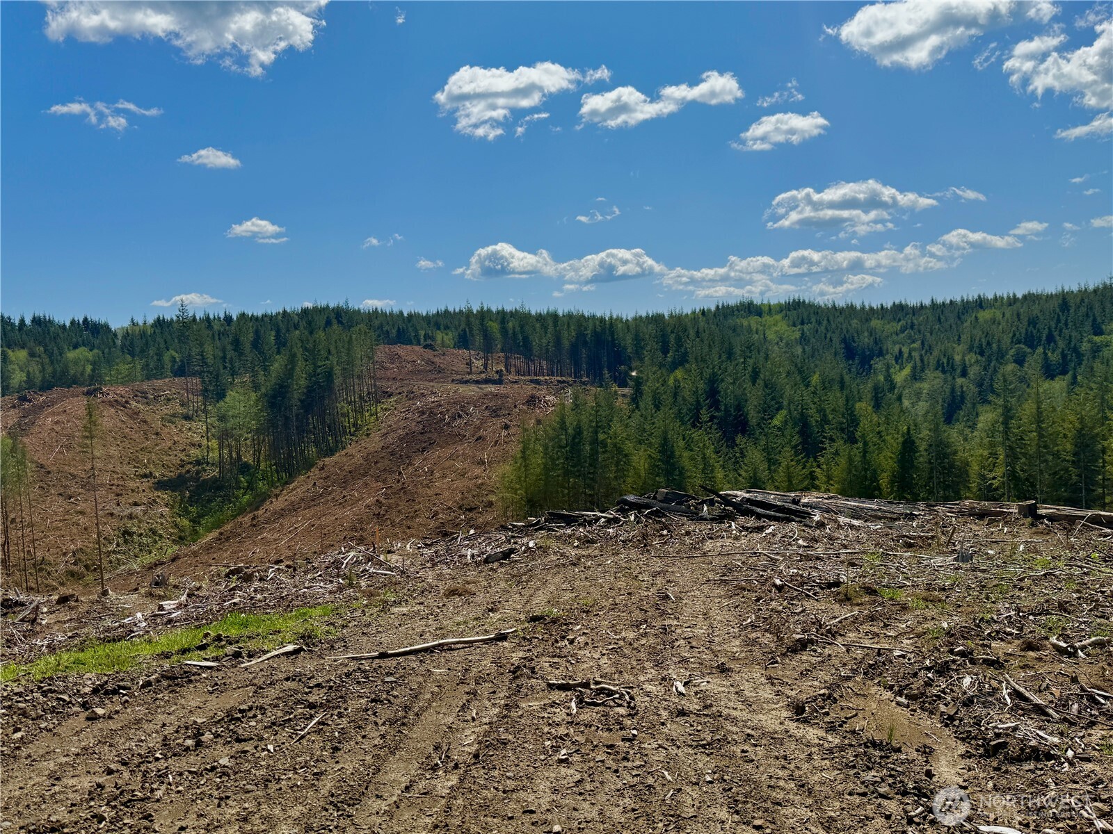 8466 Us Highway 101 , South Bend, WA 98586