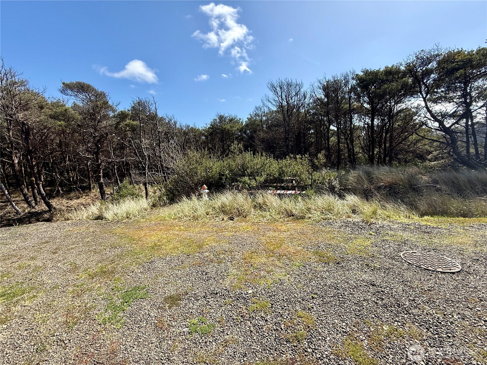 1007 Sand Castle Lane , Westport, WA 98595