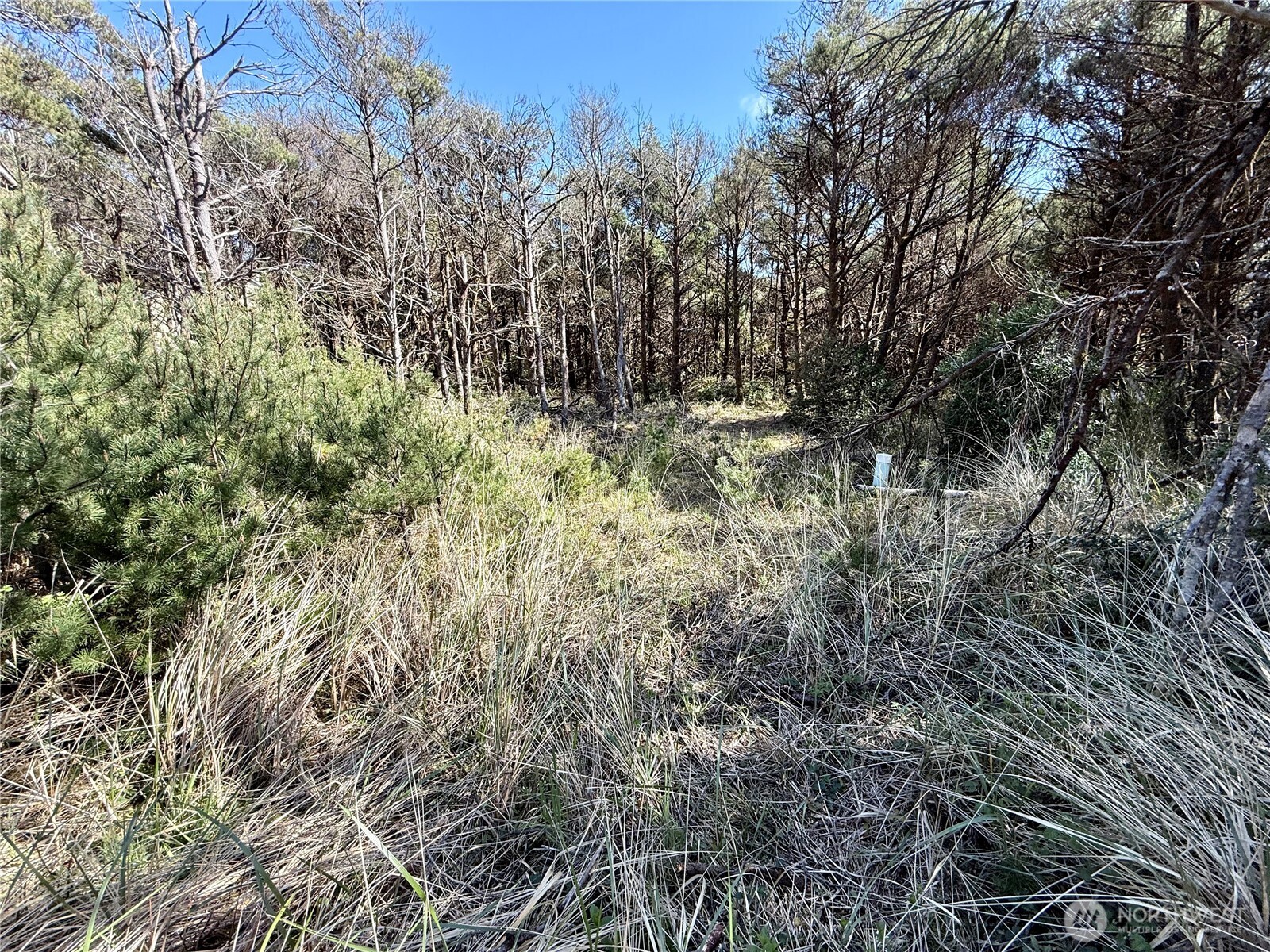 1007 Sand Castle Lane , Westport, WA 98595