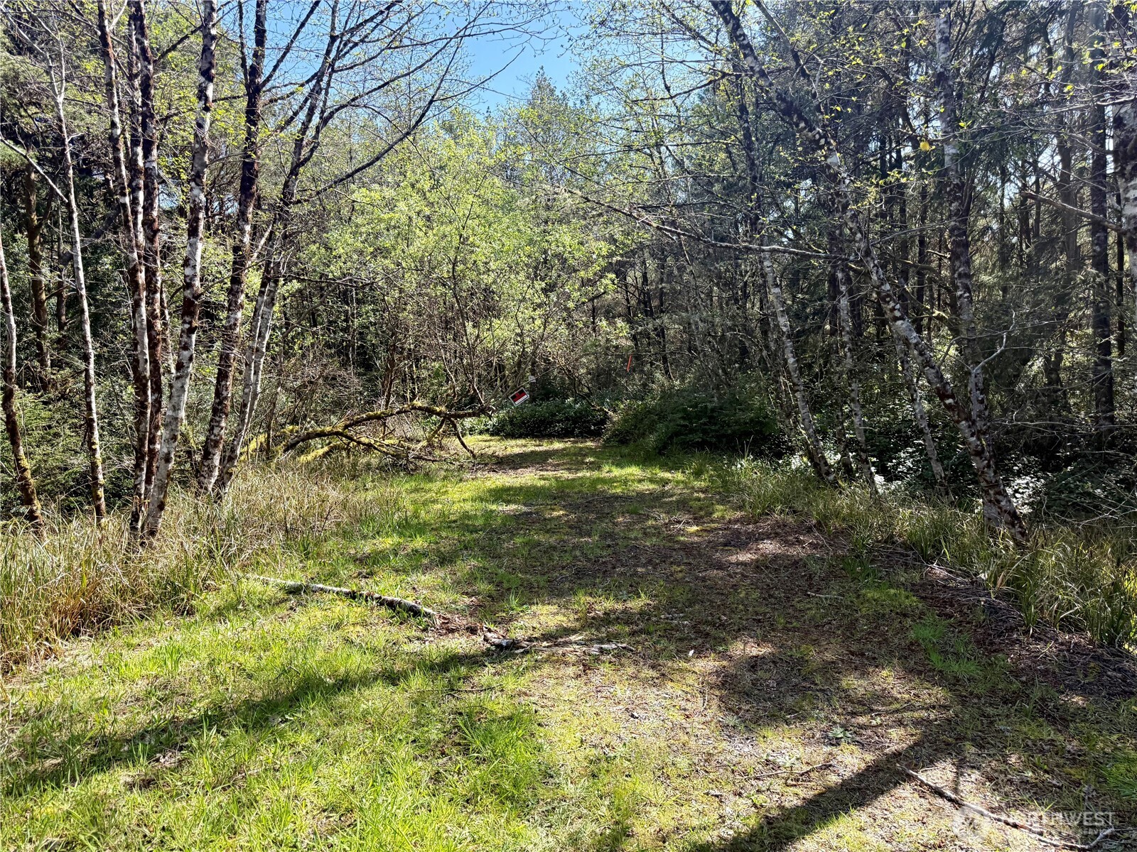 1007 Sand Castle Lane , Westport, WA 98595
