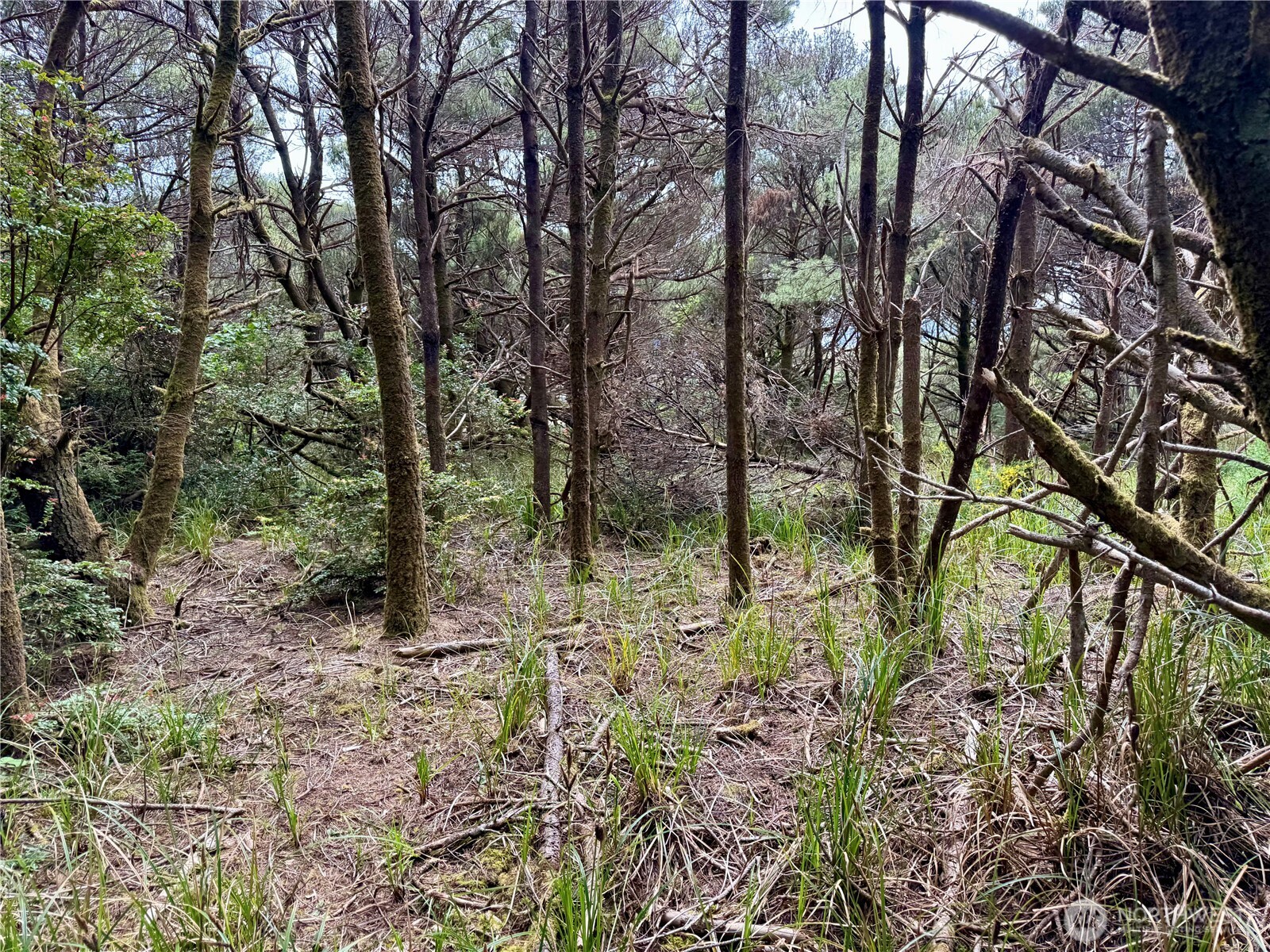 1007 Sand Castle Lane , Westport, WA 98595