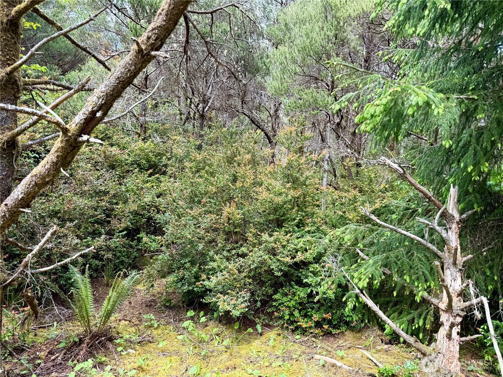 1007 Sand Castle Lane , Westport, WA 98595