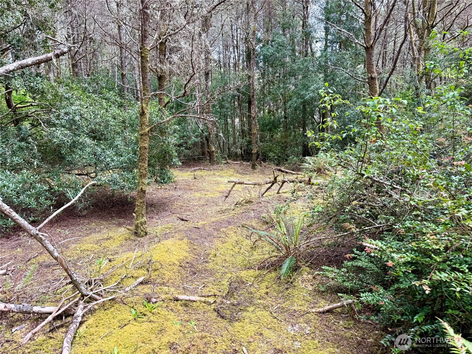 1007 Sand Castle Lane , Westport, WA 98595