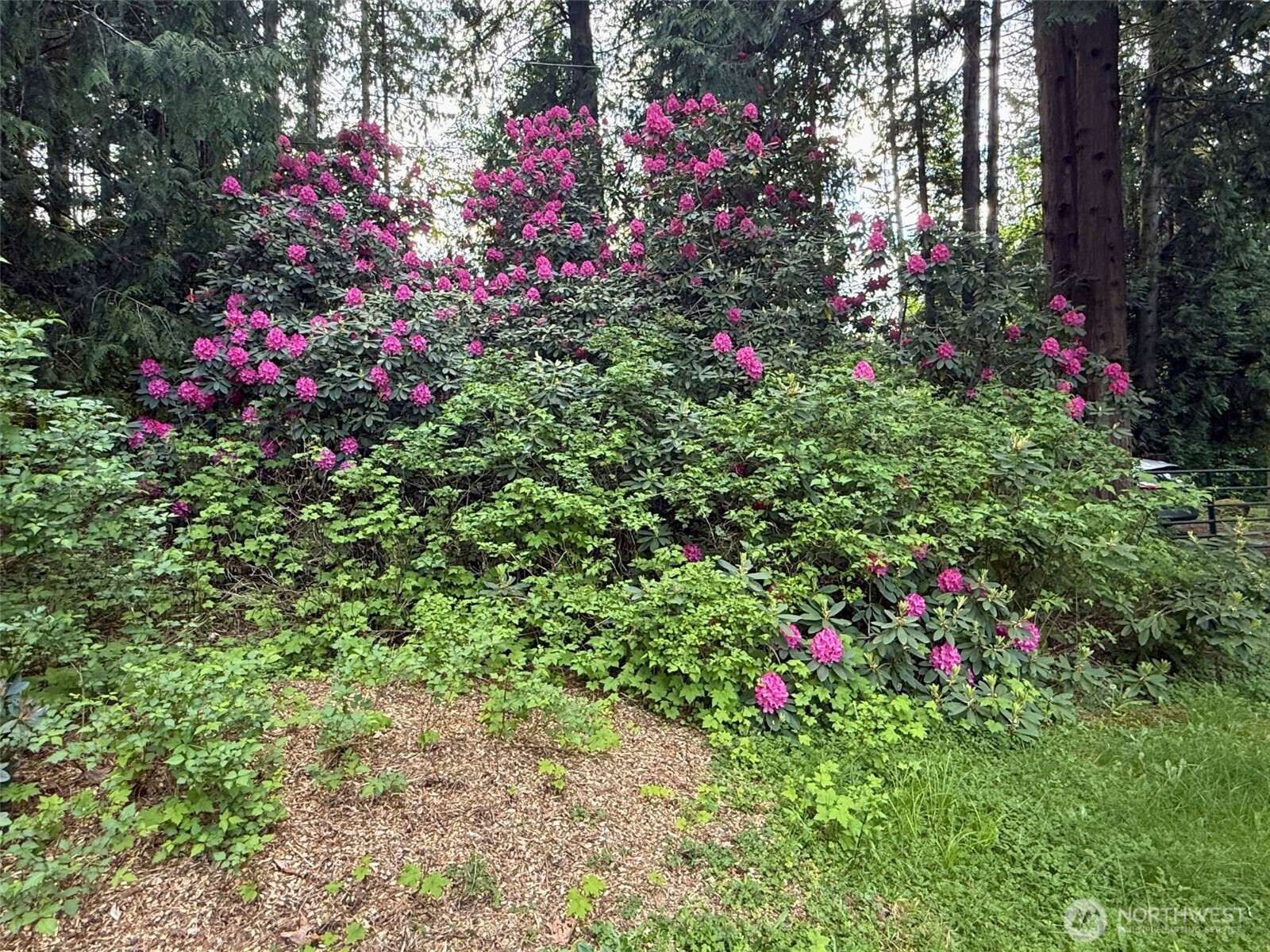 12213 155th Avenue NE, Arlington, WA 98223-7154