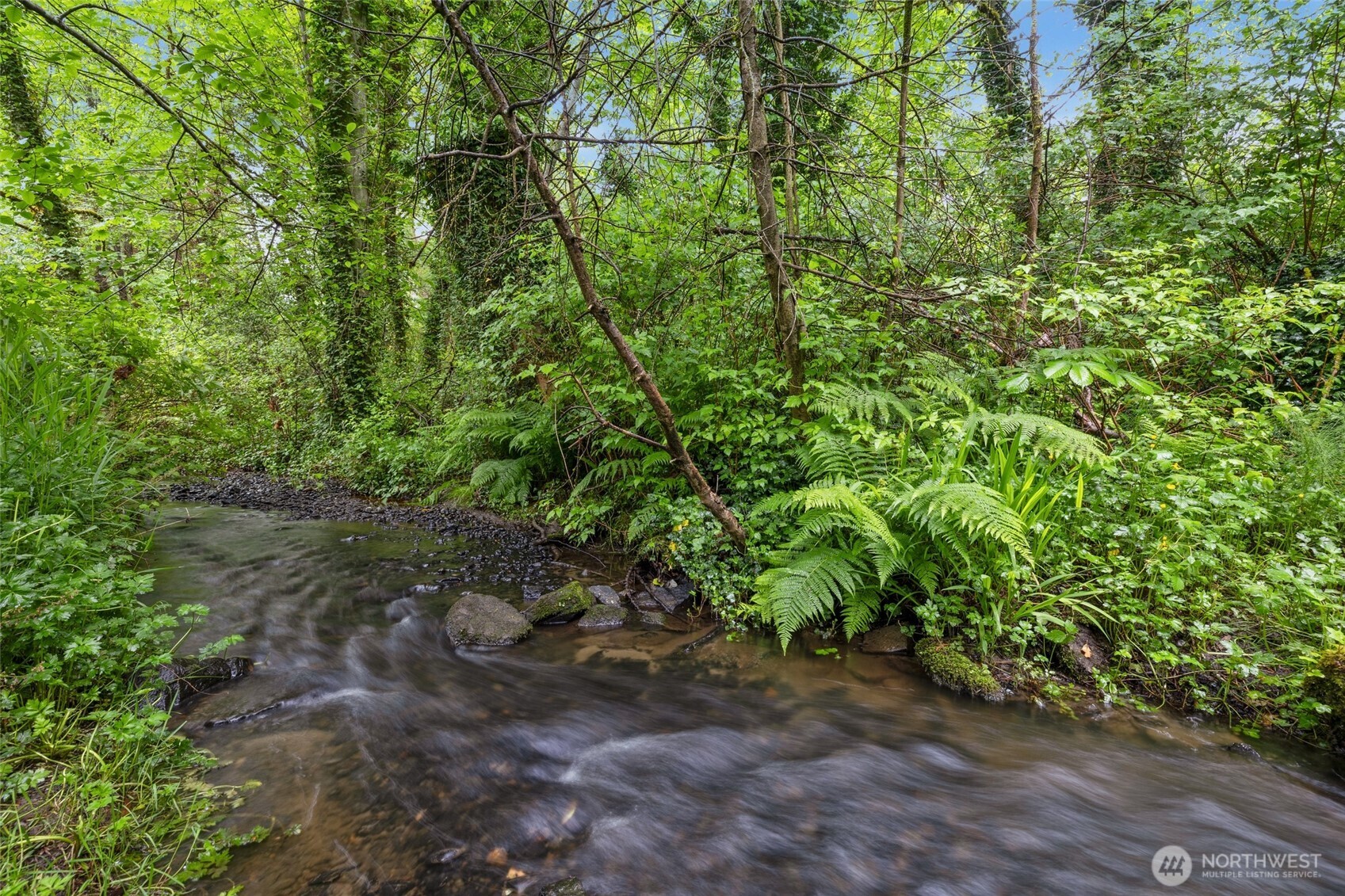 11019 NE 140th Street , Kirkland, WA 98034-5317