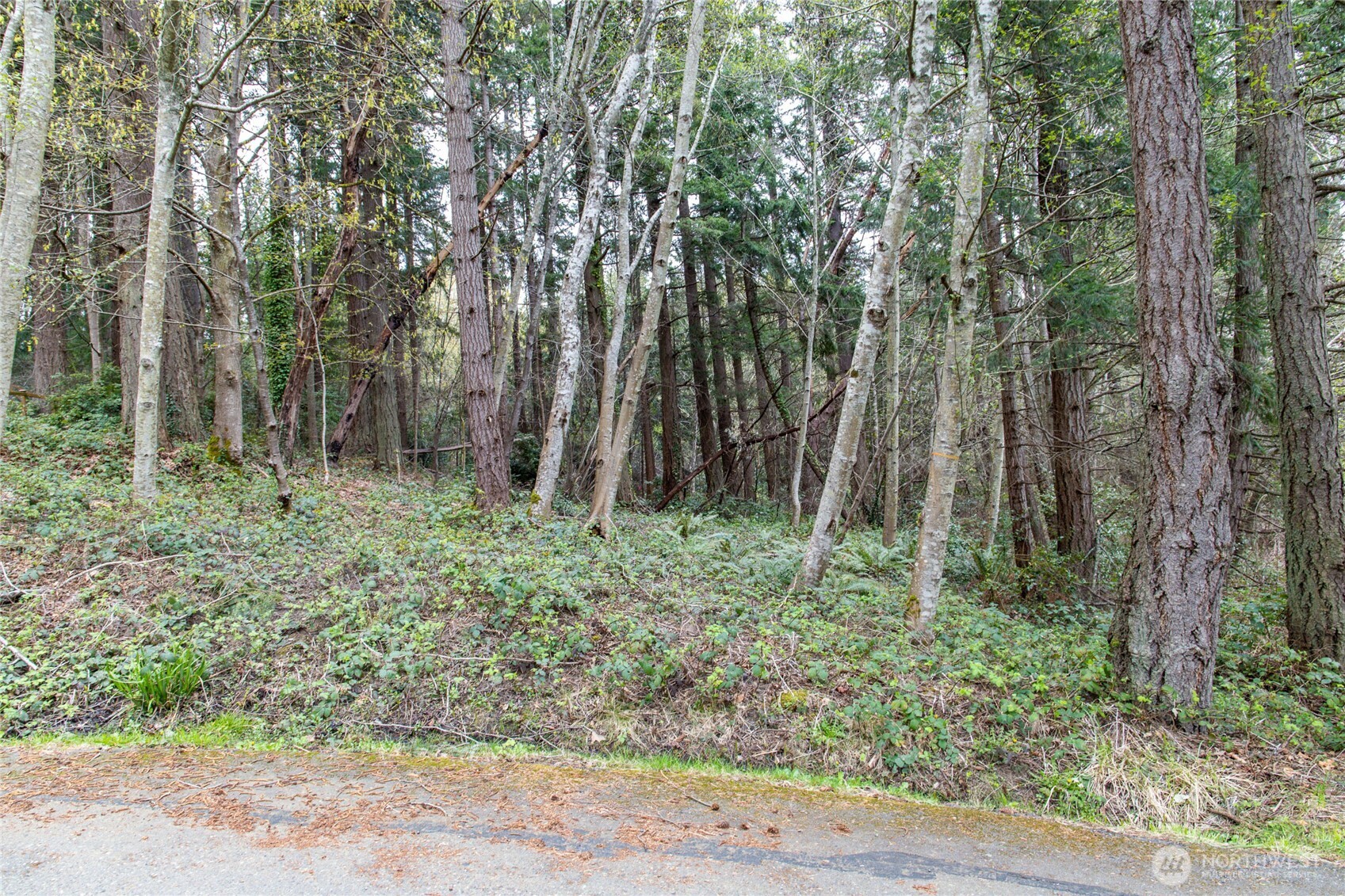9190 Fox Cove Lane NE, Bainbridge Island, WA 98110