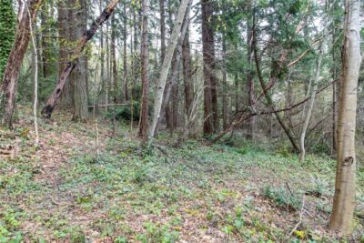 9190 Fox Cove Lane NE, Bainbridge Island, WA 98110 - Photo 12