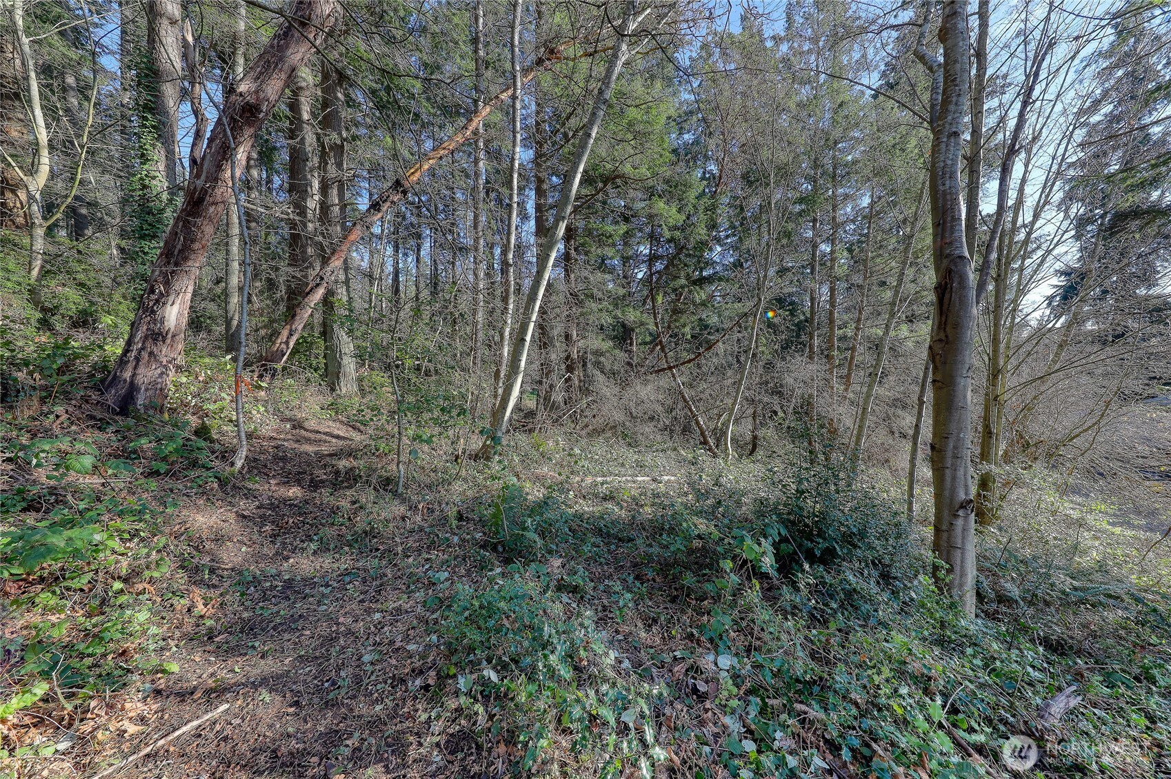 9190 Fox Cove Lane NE, Bainbridge Island, WA 98110