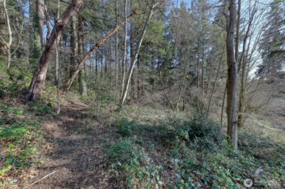 9190 Fox Cove Lane NE, Bainbridge Island, WA 98110 - Photo 18