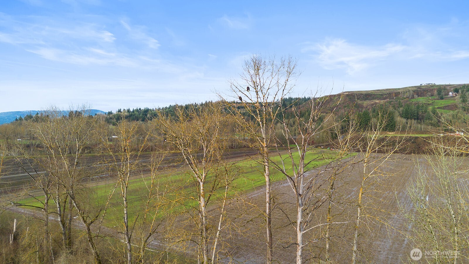 408 Tulip Lane , Woodland, WA 98674