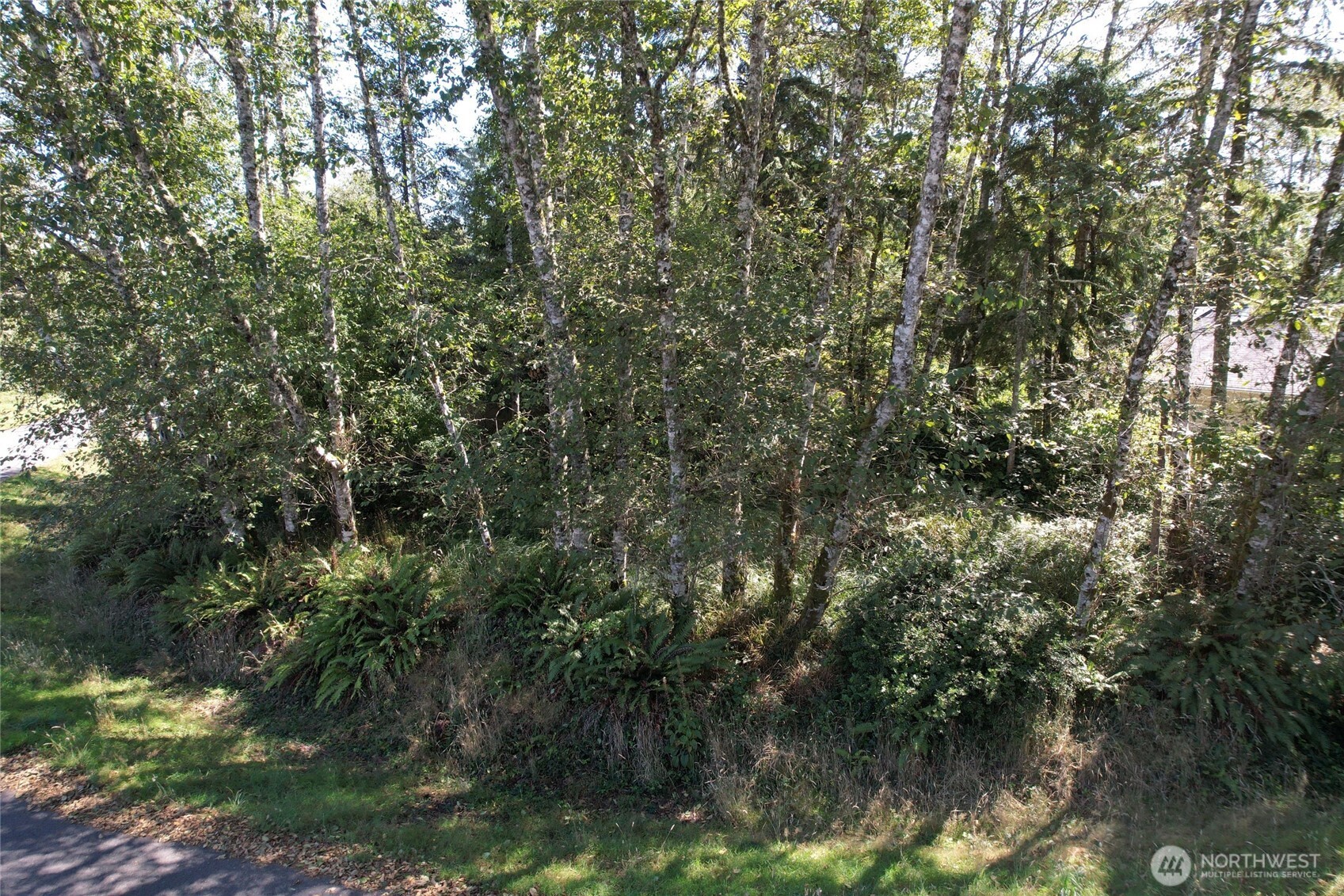 768 Sandpiper Court SE, Ocean Shores, WA 98569