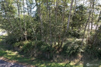 768 Sandpiper Court SE, Ocean Shores, WA 98569