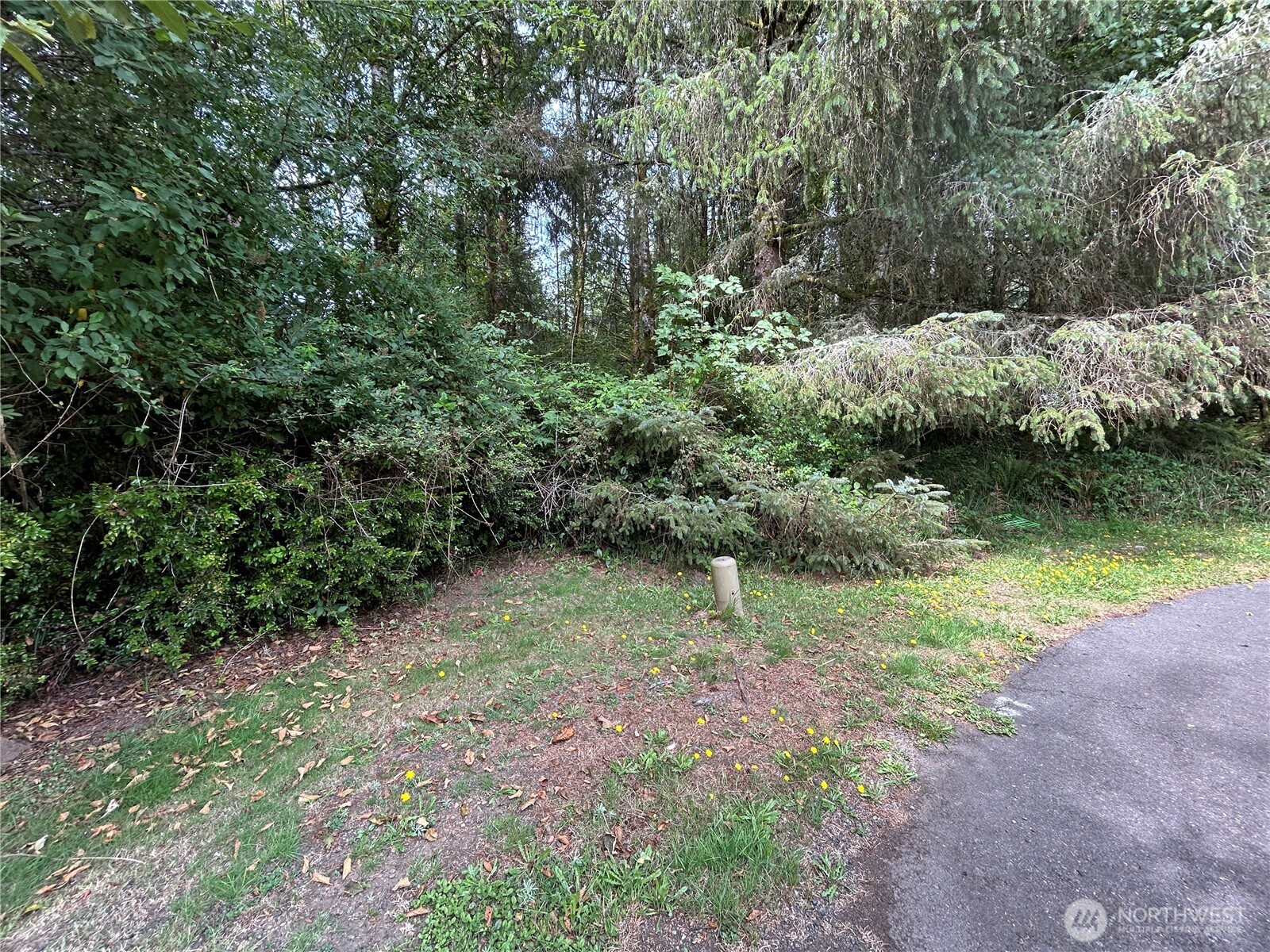 768 Sandpiper Court SE, Ocean Shores, WA 98569
