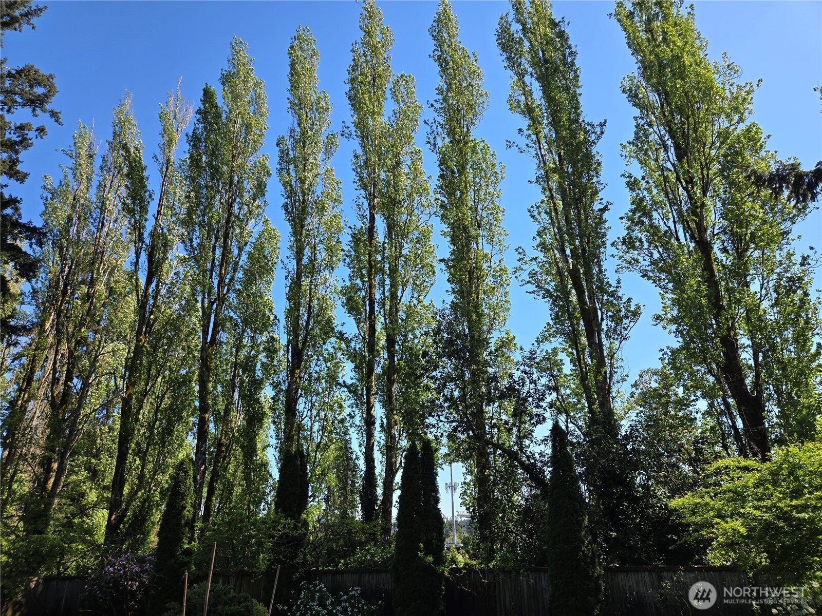 313 NE 191 Street , Shoreline, WA 98155