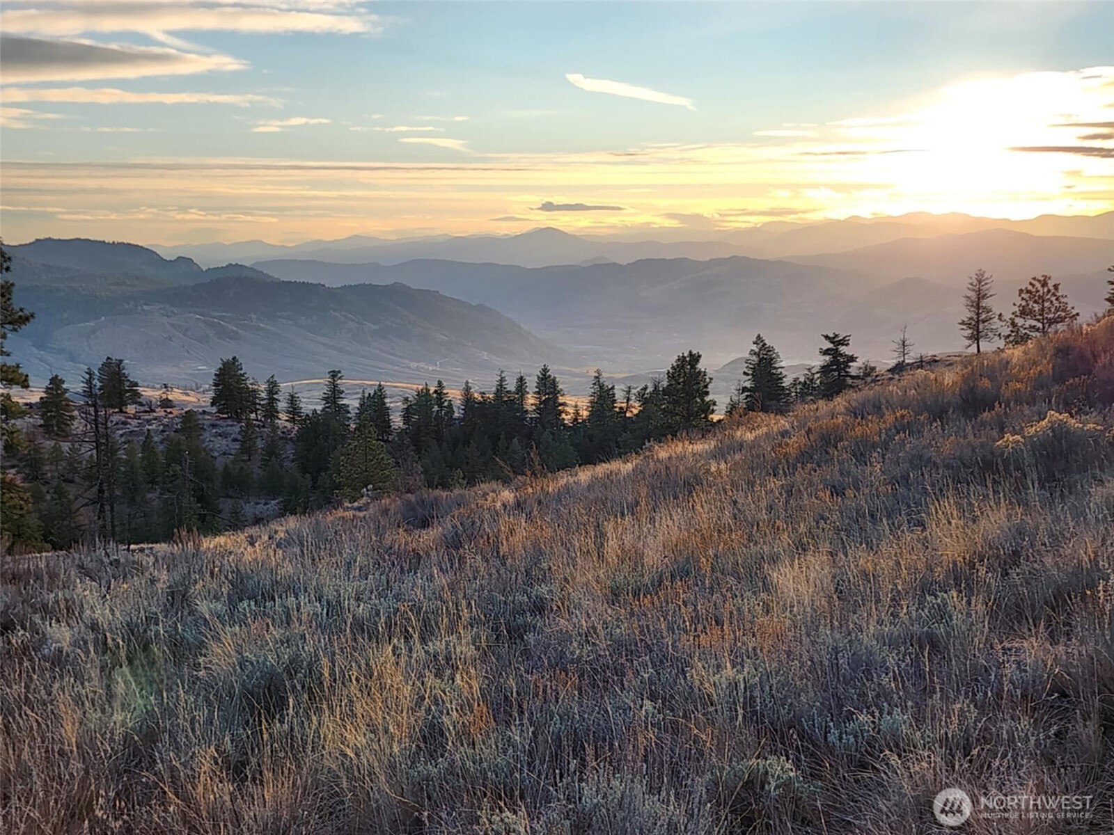 0 Blue Grouse (Div 5, Lot 42) , Oroville, WA 98844