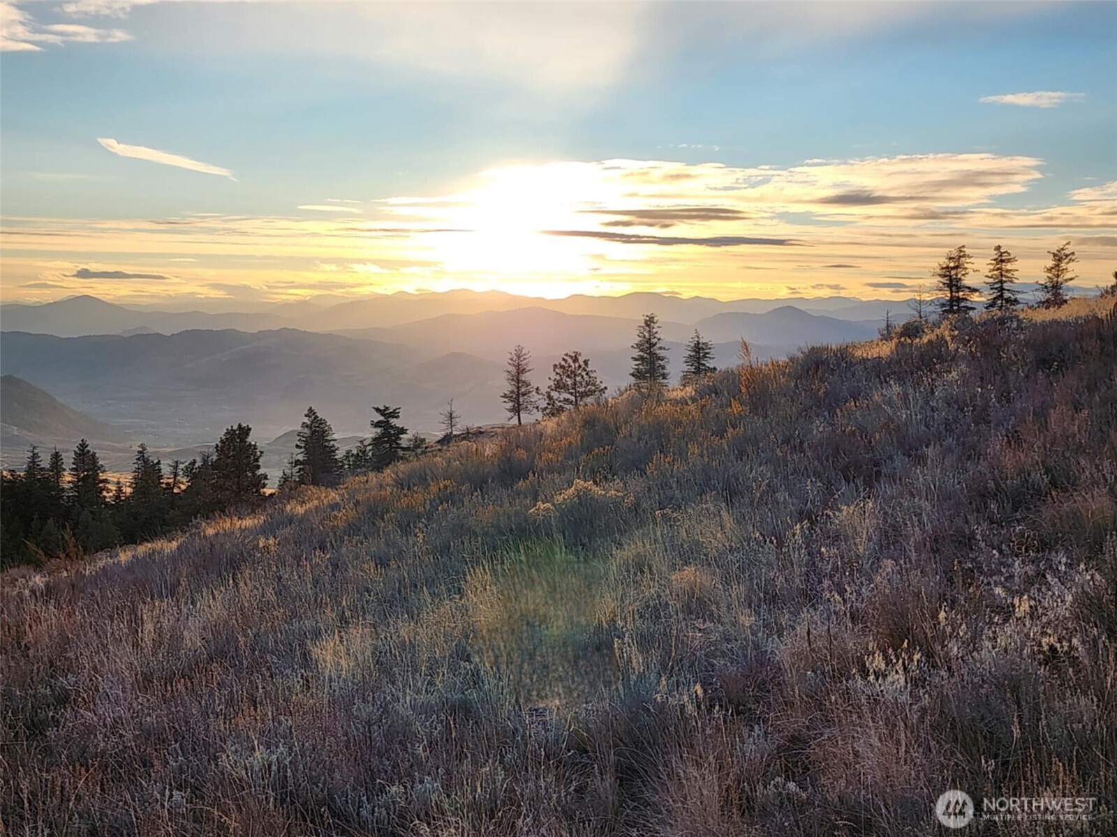 0 Blue Grouse (Div 5, Lot 42) , Oroville, WA 98844