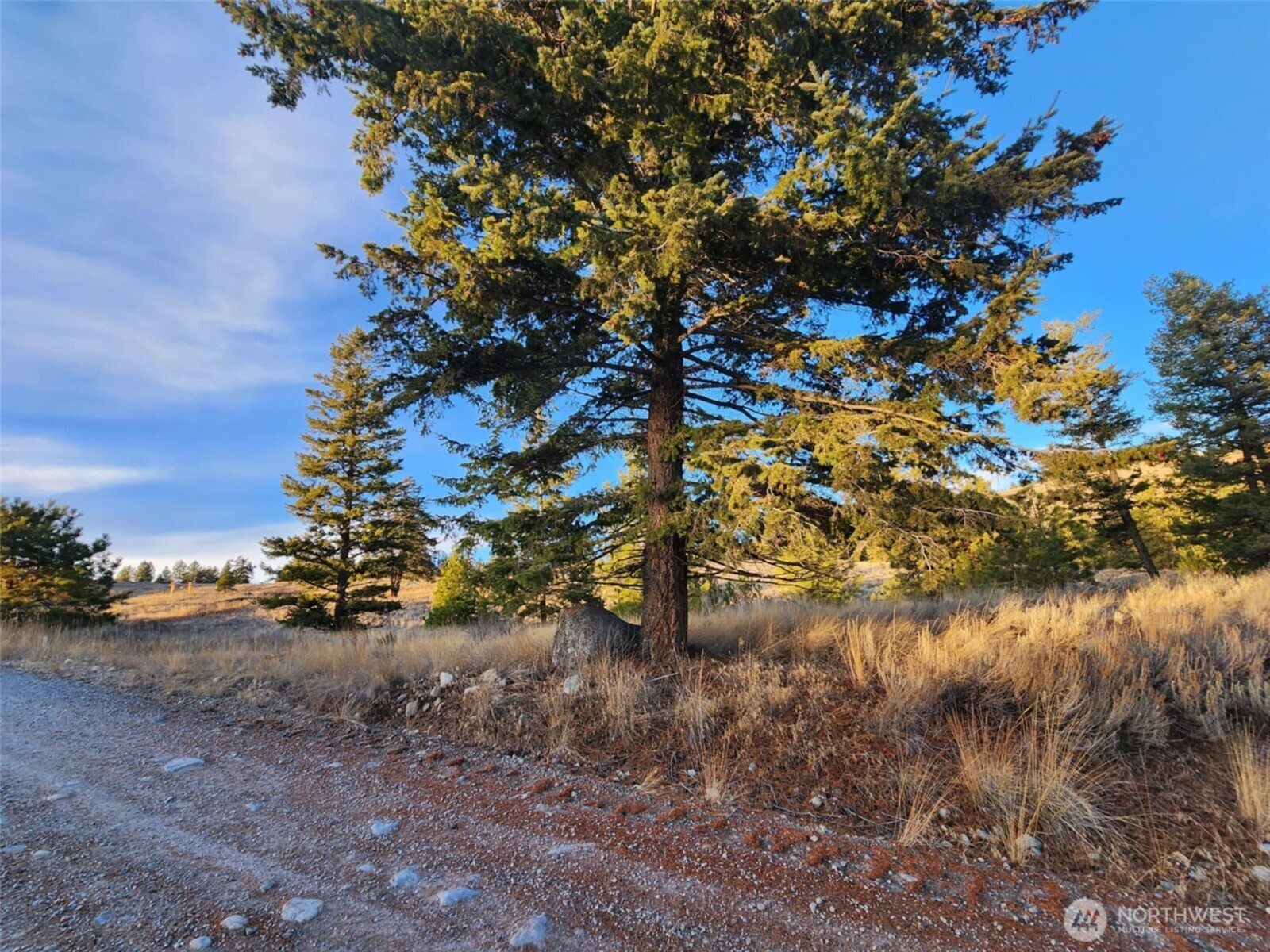 0 Blue Grouse (Div 5, Lot 42) , Oroville, WA 98844