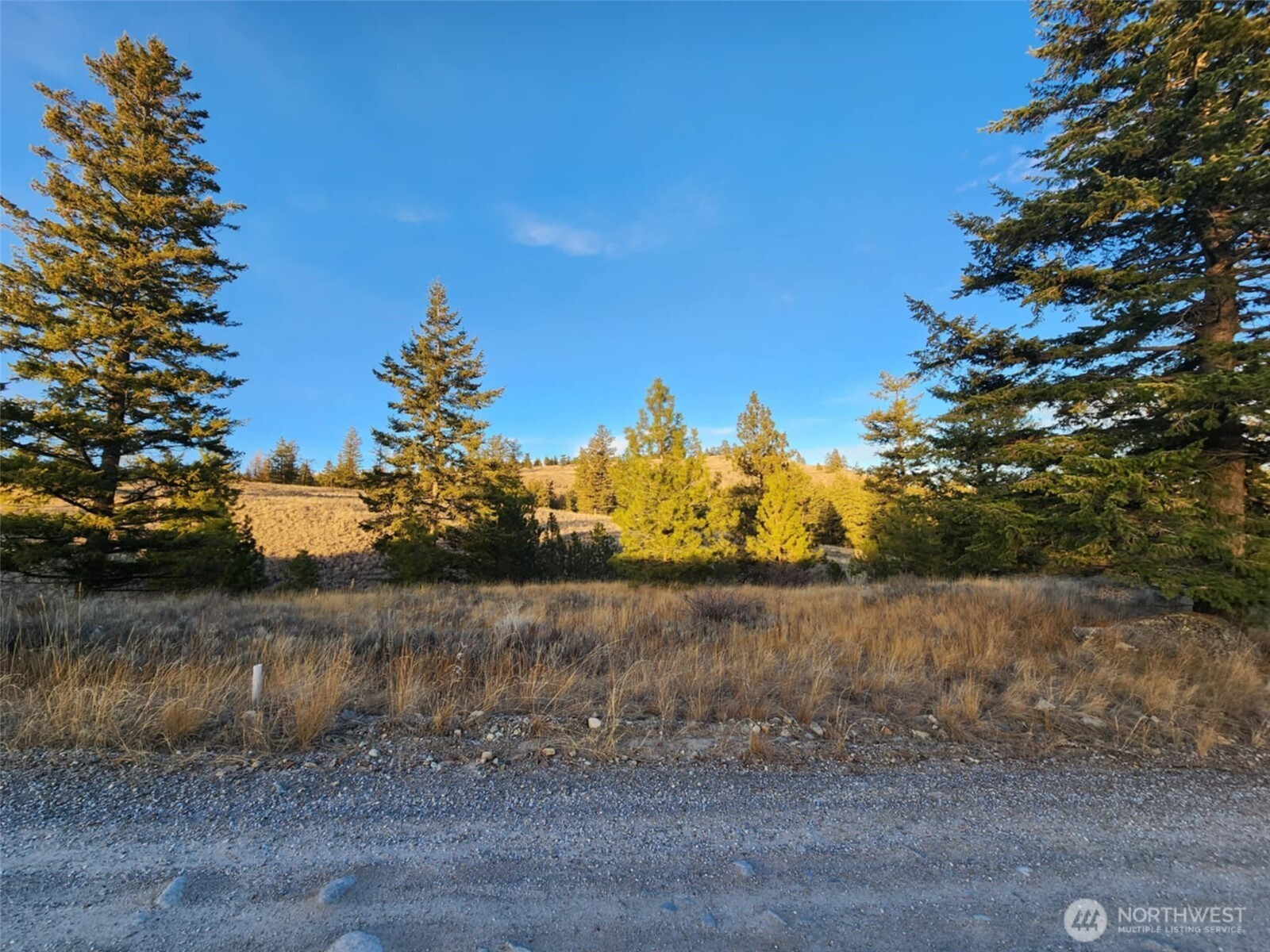 0 Blue Grouse (Div 5, Lot 42) , Oroville, WA 98844