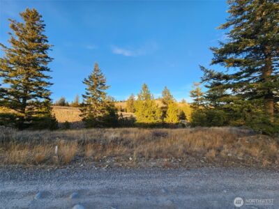 0 Blue Grouse (Div 5, Lot 42) , Oroville, WA 98844 - Photo 12