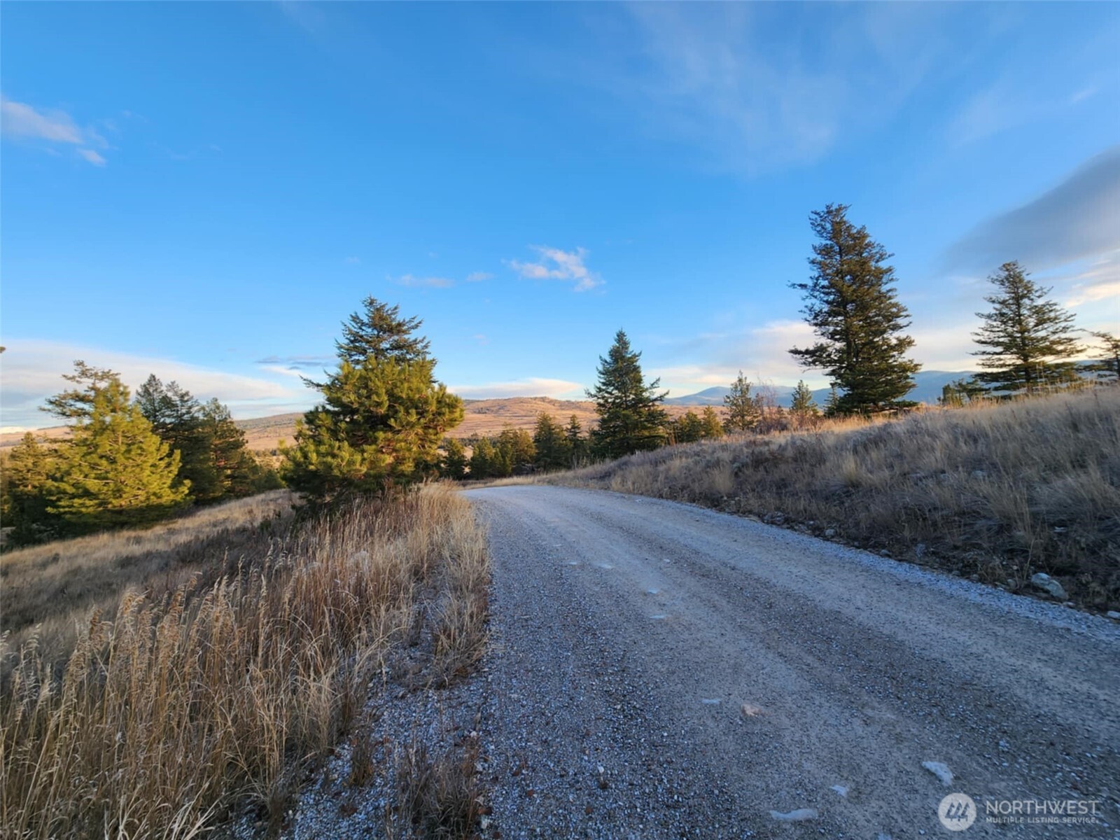 0 Blue Grouse (Div 5, Lot 42) , Oroville, WA 98844