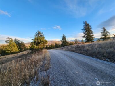 0 Blue Grouse (Div 5, Lot 42) , Oroville, WA 98844 - Photo 13
