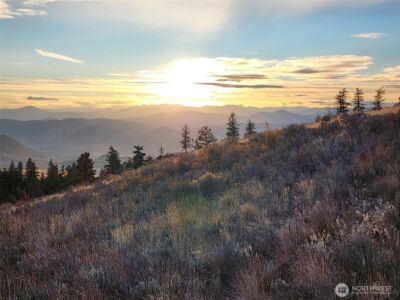 0 Blue Grouse (Div 5, Lot 42) , Oroville, WA 98844 - Photo 2
