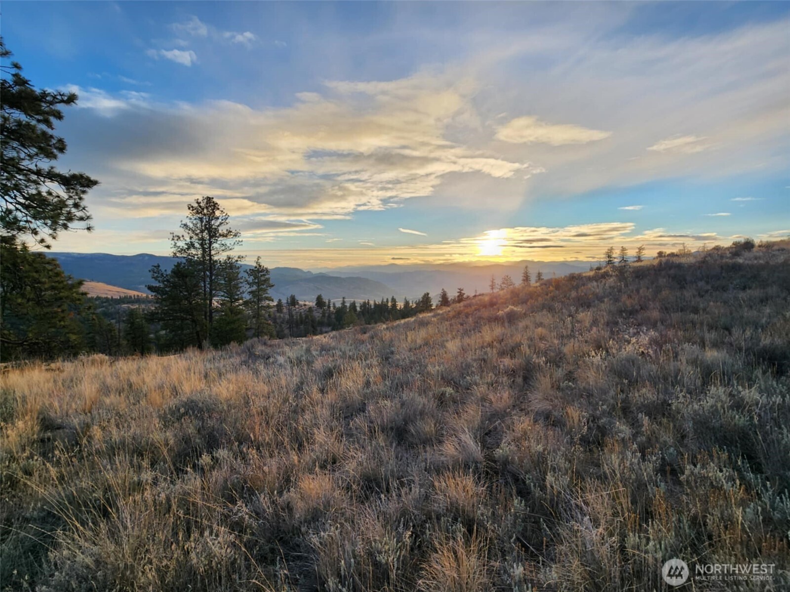 0 Blue Grouse (Div 5, Lot 42) , Oroville, WA 98844