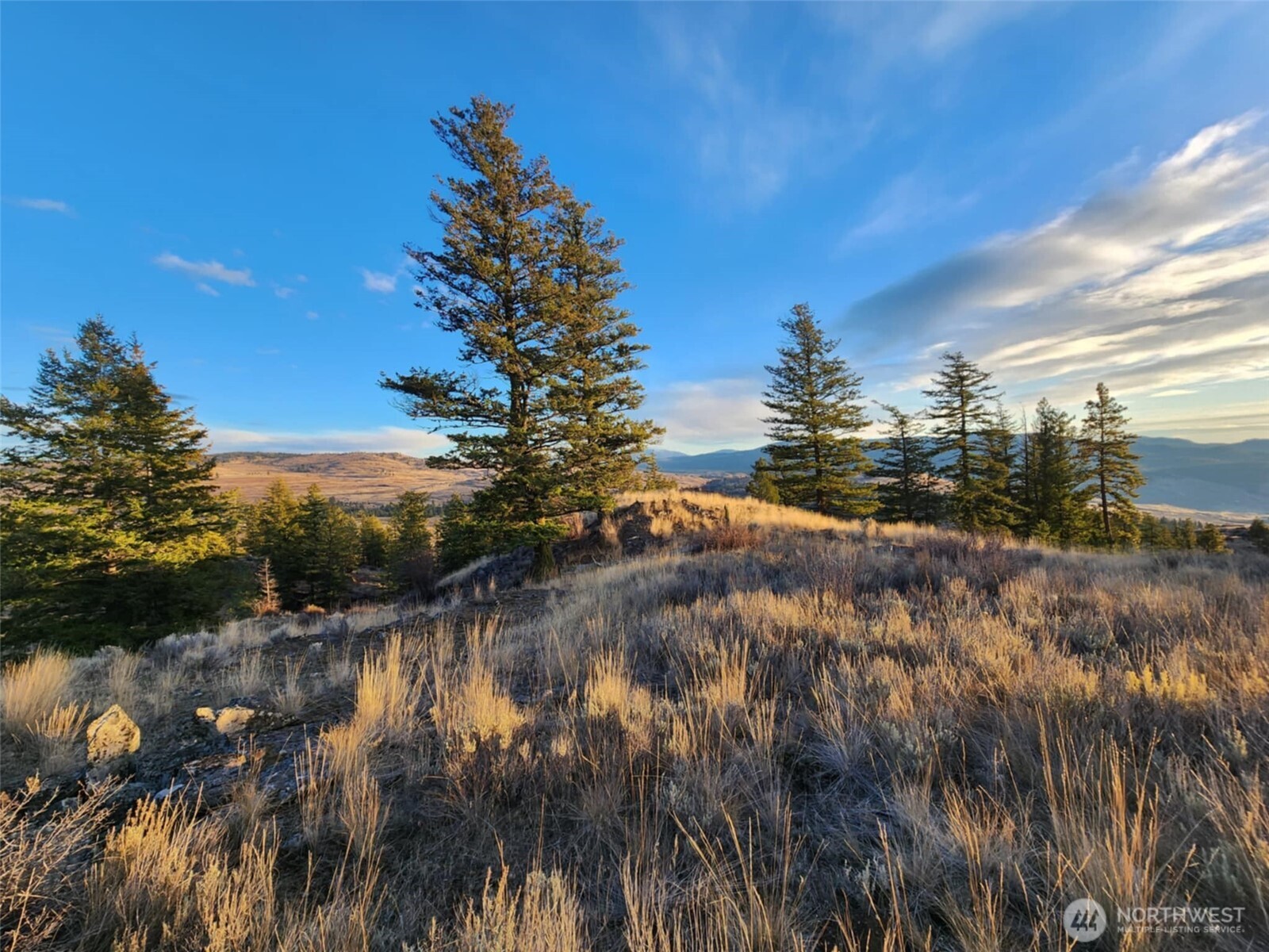 0 Blue Grouse (Div 5, Lot 42) , Oroville, WA 98844