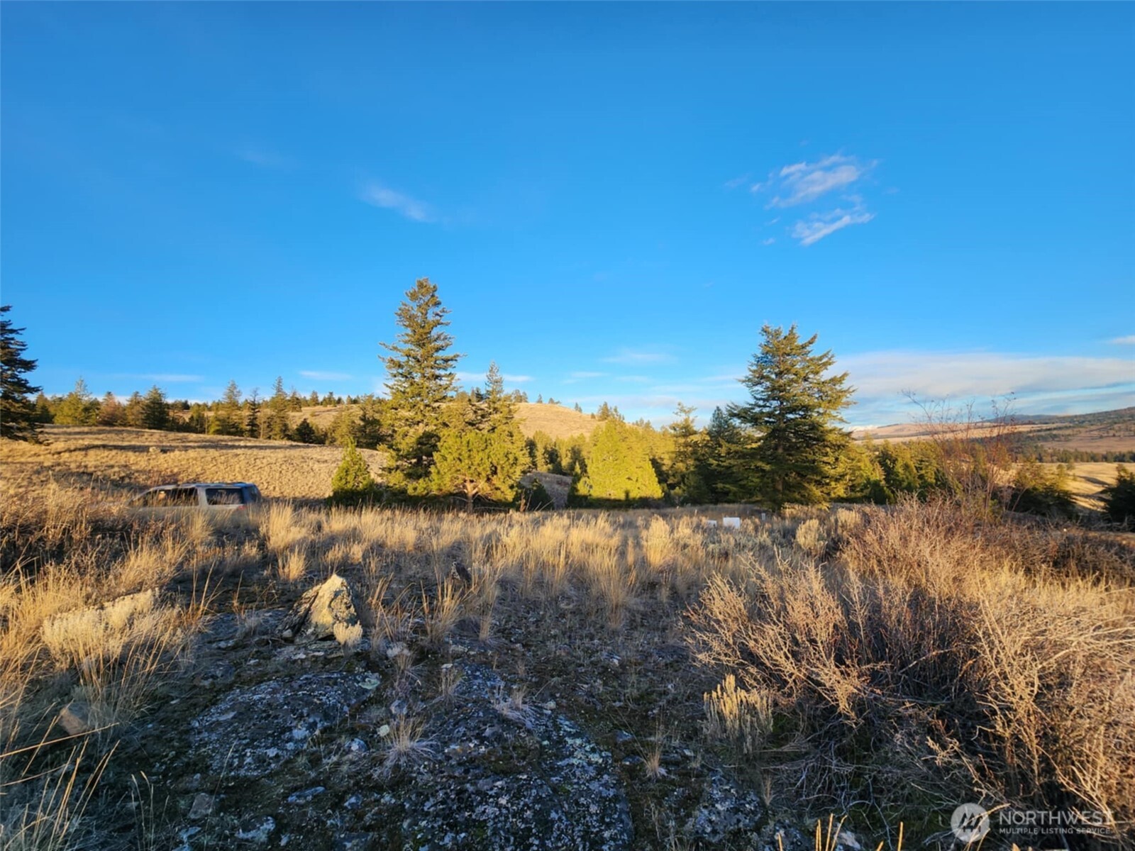0 Blue Grouse (Div 5, Lot 42) , Oroville, WA 98844