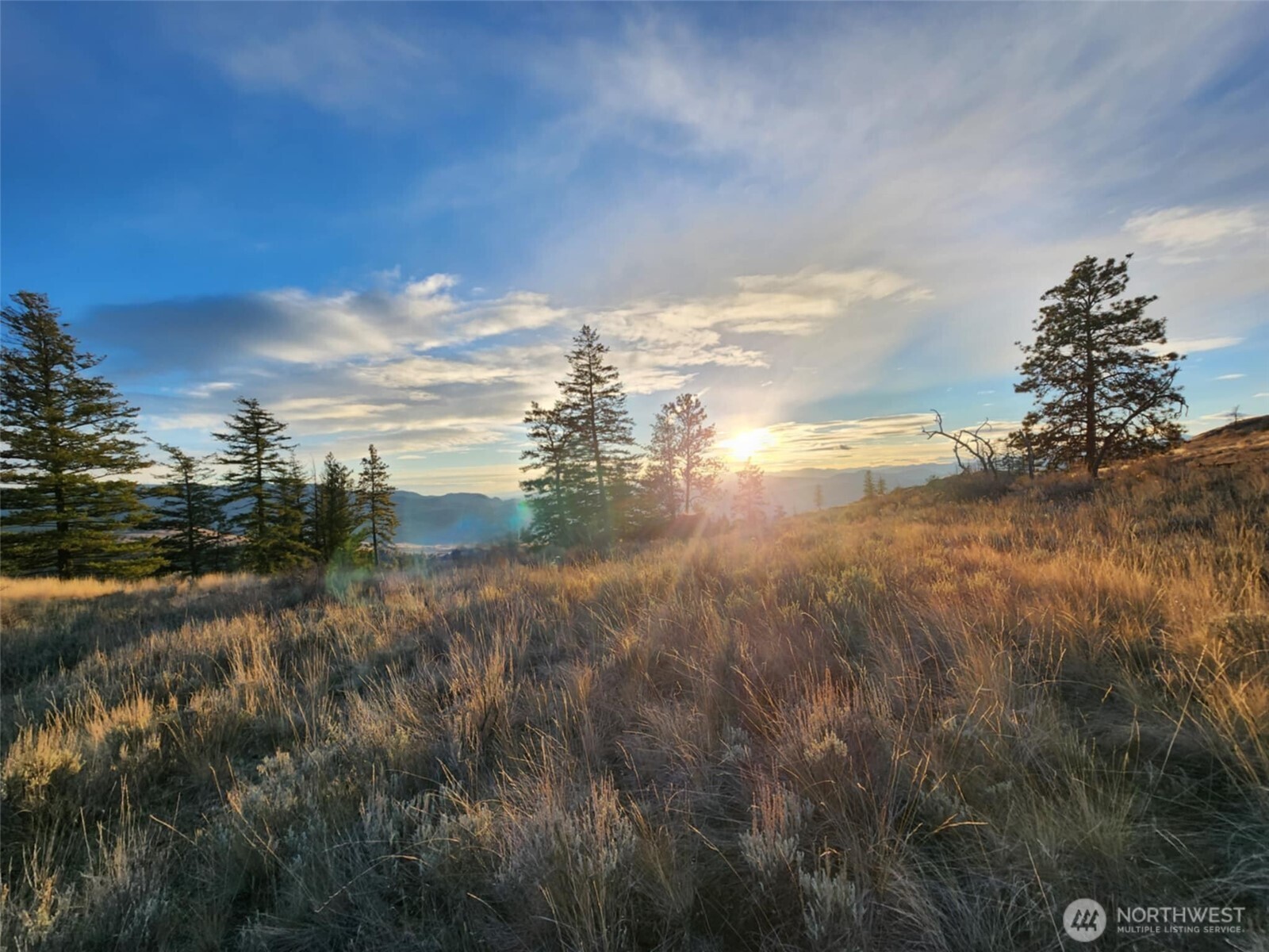 0 Blue Grouse (Div 5, Lot 42) , Oroville, WA 98844